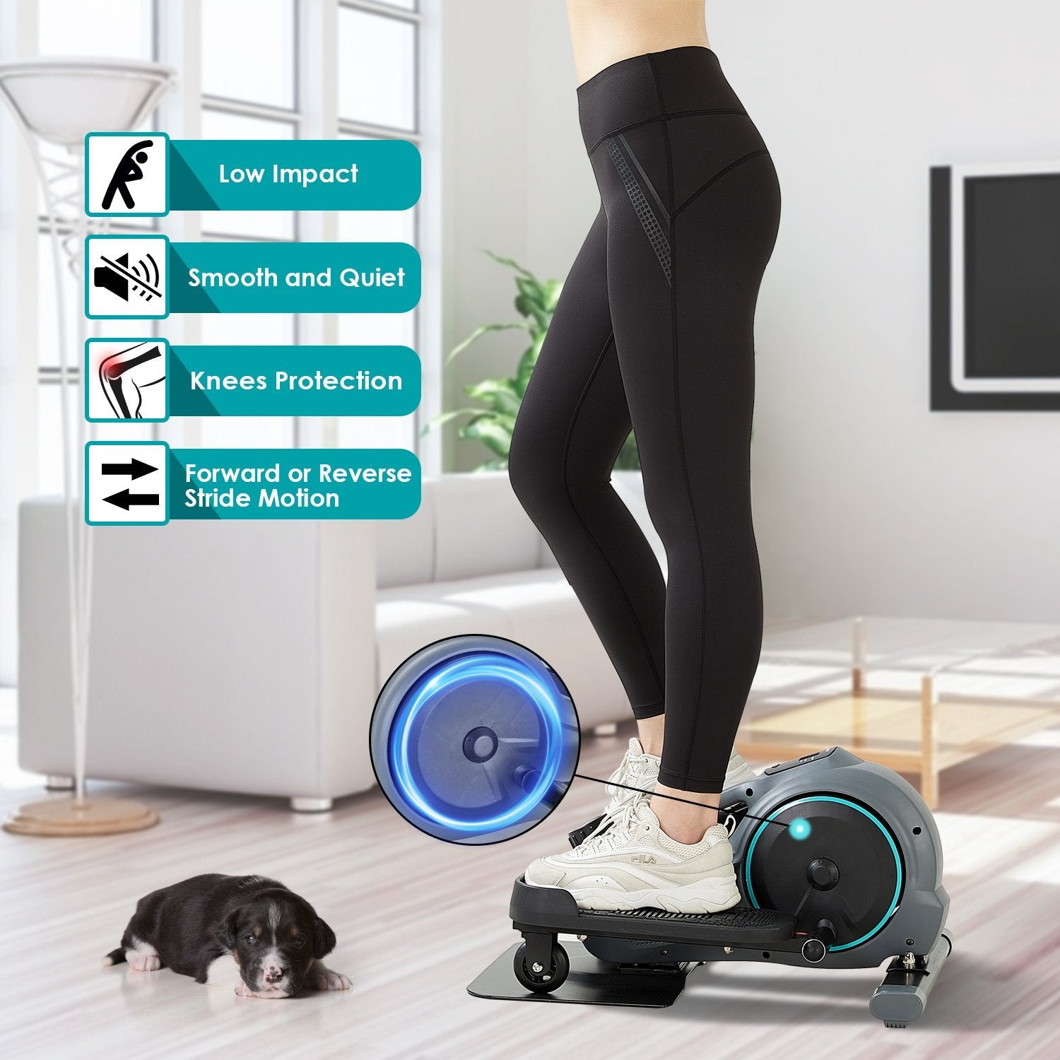 Low Impact at Home Workout Equipment - Multifunctional Exerciser